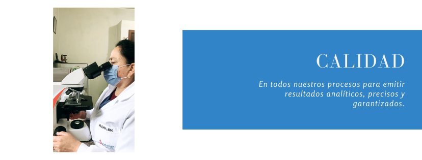 PORTADA (5).png